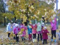 /album/fotogalereya/a26102015561-kopiya-jpg/